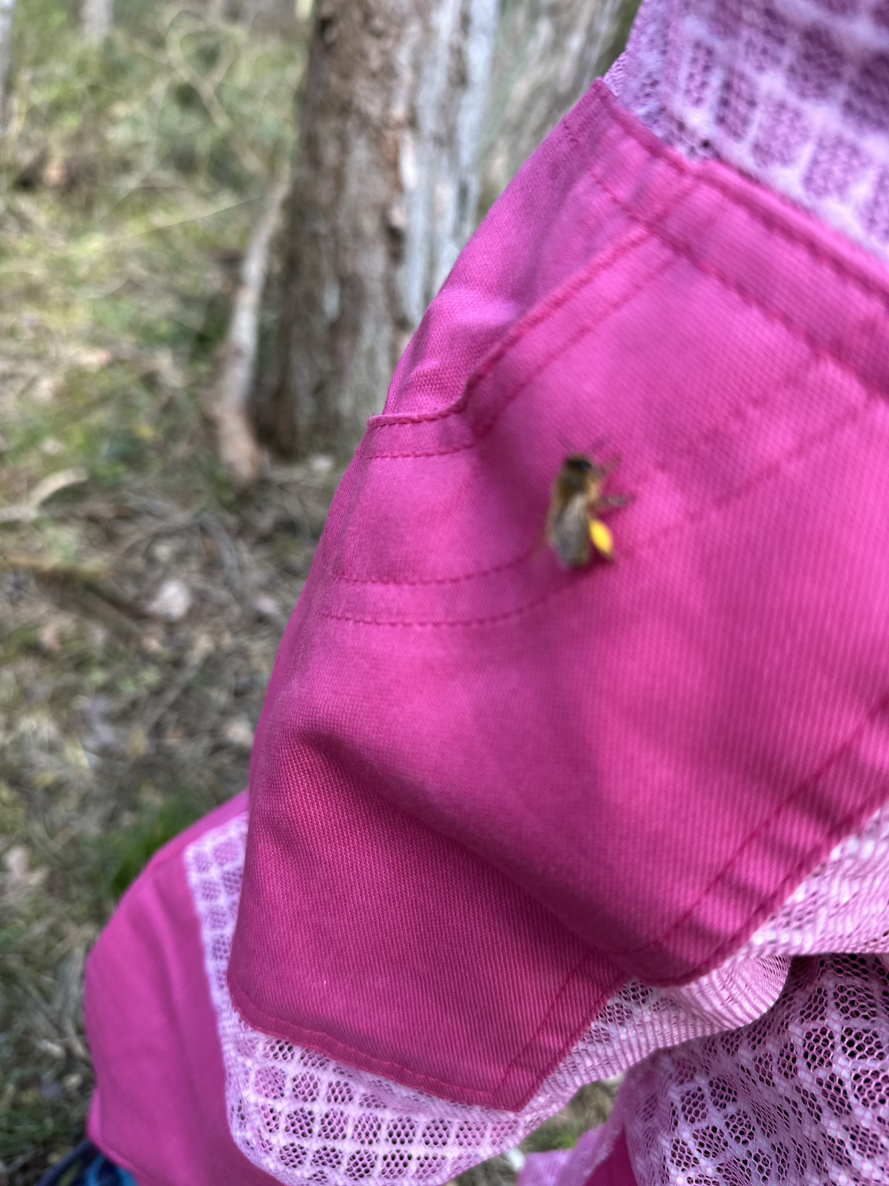 Biene landet auf rosa Kleid