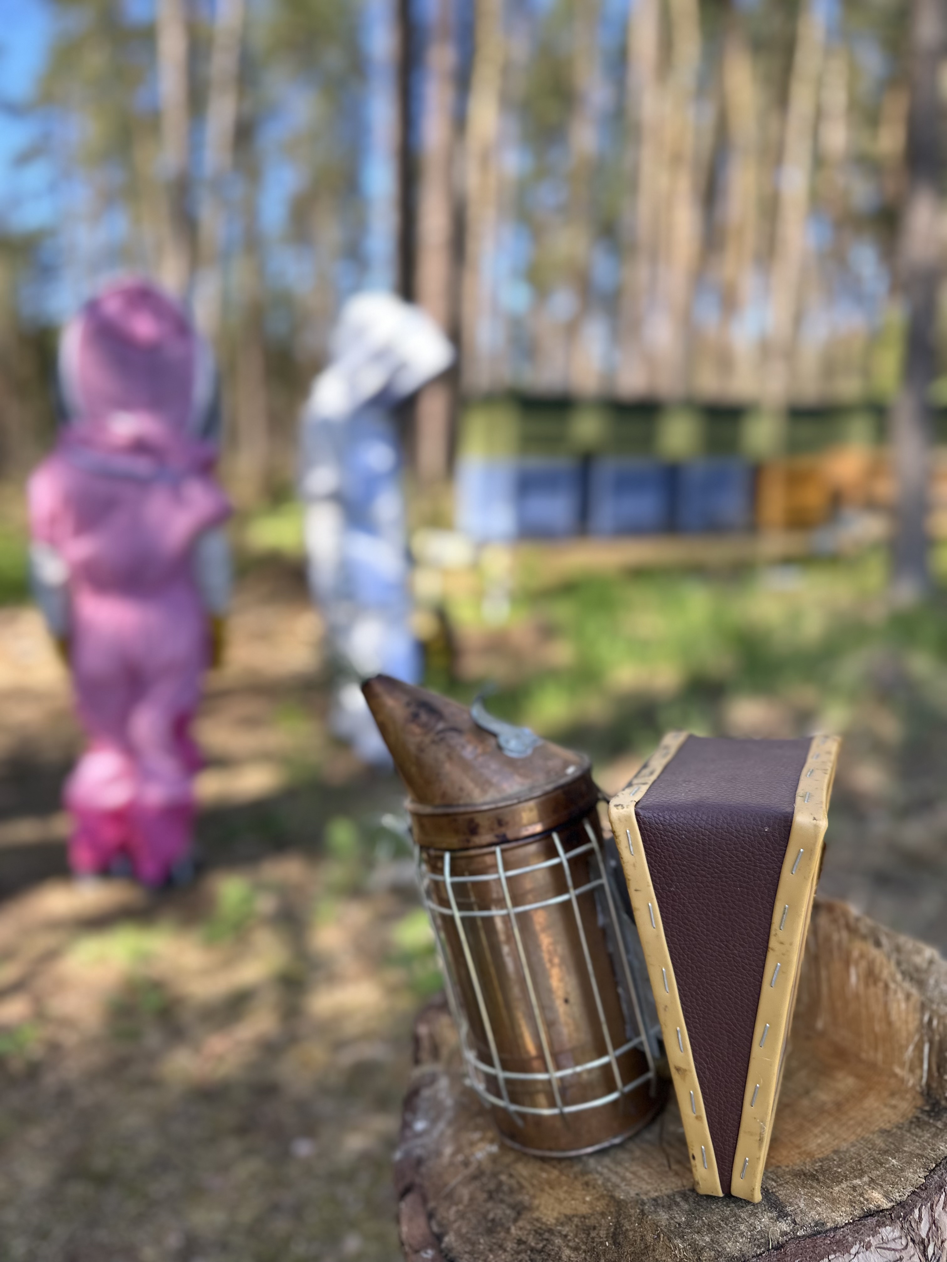 Smoker und Stockmeißel auf einem Baumstumpf, im Hintergrund zwei kleine Imker und die Bienenbeuten